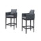 PURPLE LEAF Outdoor Bar Stools Set of 2 Modern Olefin Weaving Bar Chairs with Backrest Pillow for Patio, Poolside or Indoor