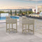 PURPLE LEAF Outdoor Bar Stools Set of 2 Modern Olefin Weaving Bar Chairs with Backrest Pillow for Patio, Poolside or Indoor