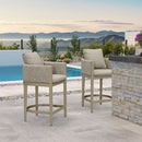 PURPLE LEAF Outdoor Bar Stools Set of 2 Modern Olefin Weaving Bar Chairs with Backrest Pillow for Patio, Poolside or Indoor