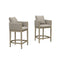 PURPLE LEAF Outdoor Bar Stools Set of 2 Modern Olefin Weaving Bar Chairs with Backrest Pillow for Patio, Poolside or Indoor