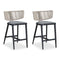 PURPLE LEAF Outdoor Bar Stools, All Weather Rattan and Aluminum Patio Bar Stool with Cushion for Indoor and Outdoor.