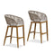 PURPLE LEAF Outdoor Bar stools Stools Set of 2 Rattan Bar Chairs with Embedded Cushions and  Back for Outdoor or Indoor