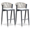 PURPLE LEAF Counter Height Bar Stool Set of 2 Outdoor Stool Chair with Footrest Patio Bar Height Stools Rattan Barstools for Outdoor or Indoor