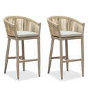 Purple Leaf Counter Bar Stools Chair Set of 2, Modern Aluminum Wicker Bar Chair Indoor and Outdoor