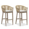 Purple Leaf Counter Bar Stools Chair Set of 2, Modern Aluminum Wicker Bar Chair Indoor and Outdoor