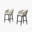 PURPLE LEAF Outdoor Bar Stools Patio Modern Aluminum Rattan High Back & Arms Bar Chairs with Removable Cushions and Pillows  for Outdoor or Indoor