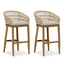 PURPLR LEAF Bar Stools Chair Set of 2, Rattan and Aluminum Frame with Comfortable Cushion