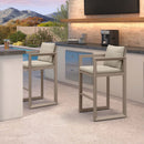 PURPLE LEAF Caesar Bar Stools Set of 2 Modern Aluminum Barstools with Stainless Removable Cushion for Kitchen Outside Island Backyard