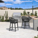 PURPLE LEAF Patio Chairs, 2 Set Outdoor Bar Stools Modern Counter Height Bar, Cushions Included