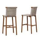 PURPLE LEAF Bar Stools Set of 2 with Back Aluminum Patio Counter Height Stools for Pool Lawn Kitchen All Weather Wicker Outdoor Bar Chairs