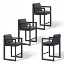 PURPLE LEAF Caesar Bar Stools Set of 2 Modern Aluminum Barstools with Stainless Removable Cushion for Kitchen Outside Island Backyard