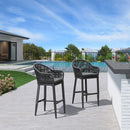 PURPLE LEAF Patio Chairs, 2 Set Outdoor Bar Stools Modern Counter Height Bar, Cushions Included