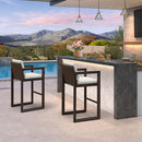 PURPLE LEAF Caesar Outdoor Bar Stools Set of 2 Modern Aluminum Barstools with Stainless Removable Cushion Patio Bar Stool for Kitchen Outside Island Backyard