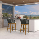 PURPLE LEAF Outdoor Bar Stools Patio Modern Aluminum Rattan High Back & Arms Bar Chairs with Removable Cushions and Pillows  for Outdoor or Indoor