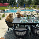 PURPLE LEAF aluminum wood grain dining set w/ rope chairs, dogs by pool.