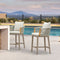 PURPLE LEAF Outdoor Bar Stools Chair Set of 2, Modern Rattan Bar Stool with Back and Cushion for Balcony, Indoor or Outdoor, Kitchen Island