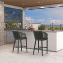 PURPLE LEAF Outdoor Bar Stools Patio Modern Aluminum Rattan High Back & Arms Bar Chairs with Removable Cushions and Pillows  for Outdoor or Indoor
