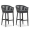 Open Box | Purple Leaf Counter Bar Stools Chair Set of 2, Modern Aluminum Wicker Bar Chair Indoor and Outdoor