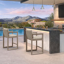 PURPLE LEAF Caesar Outdoor Bar Stools Set of 2 Modern Aluminum Barstools with Stainless Removable Cushion Patio Bar Stool for Kitchen Outside Island Backyard