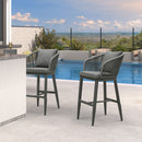 PURPLE LEAF Outdoor Bar Stools Patio Modern Aluminum Rattan High Back & Arms Bar Chairs with Removable Cushions and Pillows  for Outdoor or Indoor