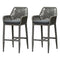 PURPLE LEAF Modern Bar Stools Set of 2, Aluminum Bar Stool with Cushion for Indoor and Outdoor, Kitchen Island