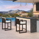 PURPLE LEAF Caesar Outdoor Bar Stools Set of 2 Modern Aluminum Barstools with Stainless Removable Cushion Patio Bar Stool for Kitchen Outside Island Backyard