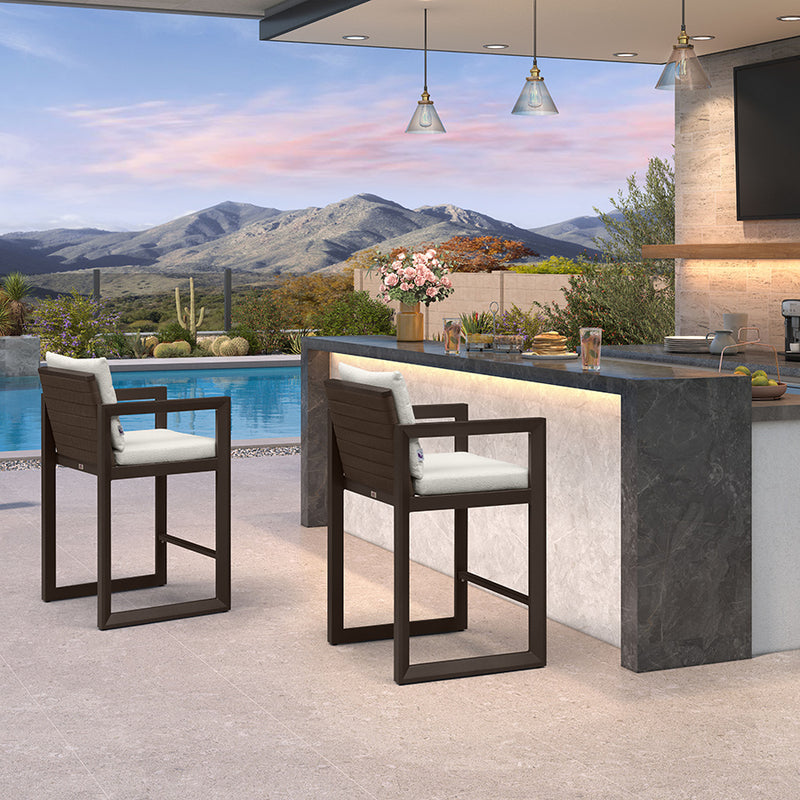 PURPLE LEAF Caesar Outdoor Bar Stools Set of 2 Modern Aluminum Barstools with Stainless Removable Cushion Patio Bar Stool for Kitchen Outside Island Backyard