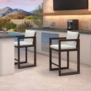 PURPLE LEAF Caesar Bar Stools Set of 2 Modern Aluminum Barstools with Stainless Removable Cushion for Kitchen Outside Island Backyard
