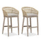 OPEN BOX I PURPLR LEAF Bar Stools Chair Set of 2, Rattan and Aluminum Frame with Comfortable Cushion