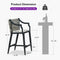 PURPLE LEAF Outdoor Bar Stool Set of 2 Aluminum Frame Bar Chair with Cushion and Back Kitchen Island Bar Stools