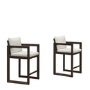 PURPLE LEAF Caesar Outdoor Bar Stools Set of 2 Modern Aluminum Barstools with Stainless Removable Cushion Patio Bar Stool for Kitchen Outside Island Backyard