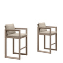 PURPLE LEAF Caesar Outdoor Bar Stools Set of 2 Modern Aluminum Barstools with Stainless Removable Cushion Patio Bar Stool for Kitchen Outside Island Backyard