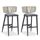 PURPLE LEAF Outdoor Bar Stools, All Weather Rattan and Aluminum Patio Bar Stool with Cushion for Indoor and Outdoor.