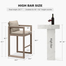 PURPLE LEAF Caesar Bar Stools Set of 2 Modern Aluminum Barstools with Stainless Removable Cushion for Kitchen Outside Island Backyard