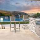 PURPLE LEAF Bar Stools Set of 2 with Back Aluminum Patio Counter Height Stools for Pool Lawn Kitchen All Weather Wicker Outdoor Bar Chairs
