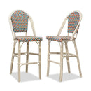 OPEN BOX I PURPLE LEAF French Counter Height Bar Height Stool Set of 2, Patio Bar Chairs with Back Rattan, French Bistro Set