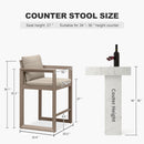 PURPLE LEAF Caesar Bar Stools Set of 2 Modern Aluminum Barstools with Stainless Removable Cushion for Kitchen Outside Island Backyard