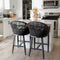 PURPLE LEAF Outdoor Bar Stools Set of 2 Rattan Bar Stools Counter Stools with Back and Cushions  for Patio, Garden, Kitchen