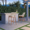 OPEN BOX I PURPLE LEAF 2 Set Outdoor Bar Stool Chair Set, Modern Counter Height Bar Stool, Cushion Included