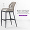 PURPLE LEAF Bar Stools Set of 2 Modern Rattan Bar Stools Counter Stools with Cushions for Outdoor Kitchen Island Stools