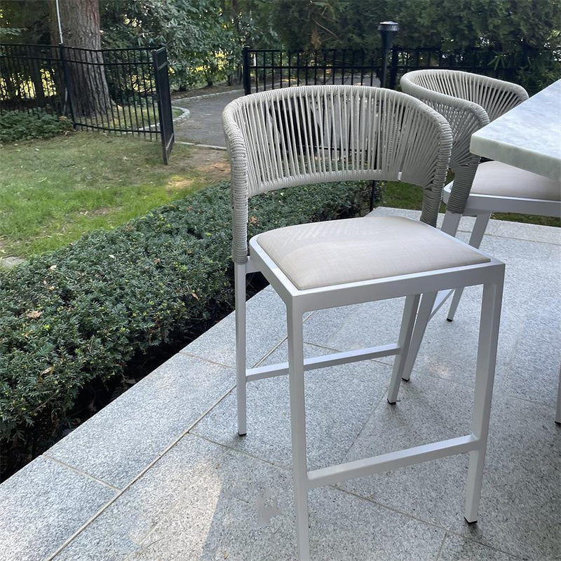 OPEN BOX I  PURPLE LEAF Outdoor Bar Stools Set of 2, Rattan Wicker Aluminum Barstools with Back and Footrest Garden Balcony Pool Bar Chairs.