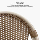 OPEN BOX I PURPLE LEAF French Counter Height Bar Height Stool Set of 2, Patio Bar Chairs with Back Rattan, French Bistro Set