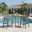 Clearance-PURPLE LEAF Outdoor Woven Bar Stools Set of 2, Aluminum Frame Counter Stools, for Pool Garden