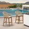 PURPLE LEAF Outdoor Bar Stools Set of 2 Rattan Bar Stools Counter Stools with Back and Cushions  for Patio, Garden, Kitchen