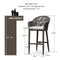 OPEN BOX I PURPLE LEAF Patio Chairs, 2 Set Outdoor Bar Stools Modern Counter Height Bar, Cushions Included