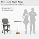 Clearance-PURPLE LEAF Outdoor Woven Bar Stools Set of 2, Aluminum Frame Counter Stools, for Pool Garden