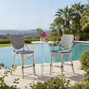 Clearance-PURPLE LEAF Outdoor Woven Bar Stools Set of 2, Aluminum Frame Counter Stools, for Pool Garden