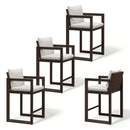 PURPLE LEAF Caesar Bar Stools Set of 2 Modern Aluminum Barstools with Stainless Removable Cushion for Kitchen Outside Island Backyard