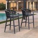 PURPLE LEAF Patio Bar Stools Set of 2 Outdoor Wicker Modern High Bar Chairs Metal Cushioned Barstools with Backs and Ergonomic Armrest for Balcony Garden Indoor Kitchen Island