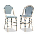 OPEN BOX I PURPLE LEAF French Counter Height Bar Height Stool Set of 2, Patio Bar Chairs with Back Rattan, French Bistro Set